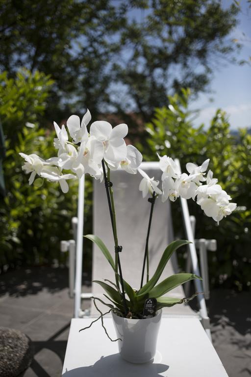 Orchidea Villa Beverino Kültér fotó