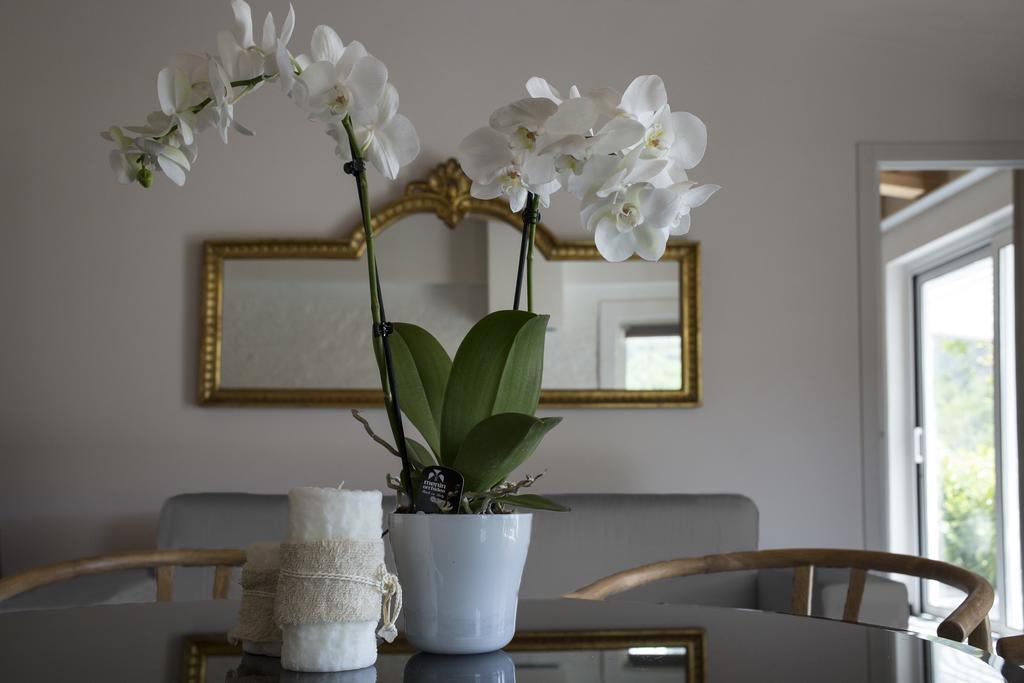 Orchidea Villa Beverino Kültér fotó